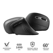 Kép 1/5 - TRUST Ergonomikus vezeték nélküli egér 23507 (Verro Ergonomic Wireless Mouse)