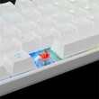 Kép 5/5 - WHITE SHARK SHINOBI mechanikus (red switch) gamer billentyűzet, fehér (angol)