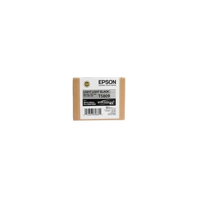 EPSON Tintapatron Light Light Black T580900