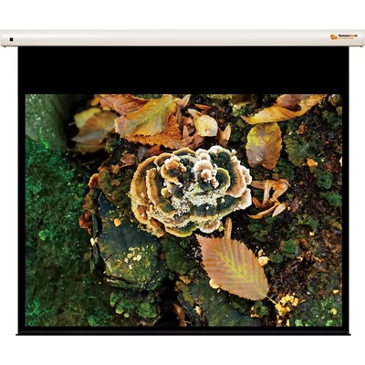 FUNSCREEN 100" (4:3) Premium Plus motoros vetítővászon Méret: 213x157, Látható méret:203x152 cm)